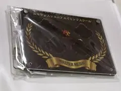 ルネサンス ジュニアスイミングスクール マスターズメダルフレーム
