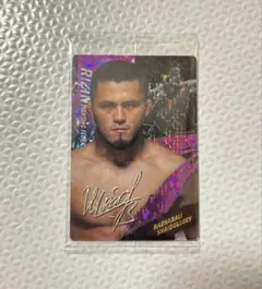 Item thumbnail for item 84be66fb-84b6-42ba-9531-bfa4f6d6cb07