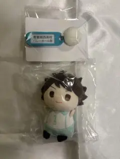 ハイキュー 青葉城西 及川徹 まとめ売り