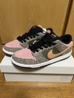 Arts Rec × Nike SB Dunk Low Pro