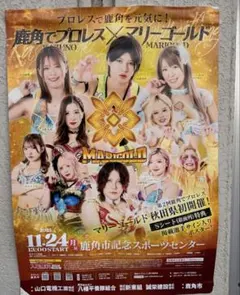 2025年最新】女子プロレス ポスターの人気アイテム - メルカリ