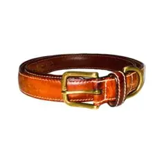 Item thumbnail for item 29ccd58c-b0a5-4c84-b491-0eca63aa3bca