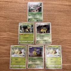 ナエトル・ハヤシガメ・ドダイトス セット