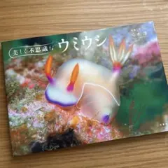 Item thumbnail for item 2276ebcb-b376-4f44-b91a-26ee38971bf9