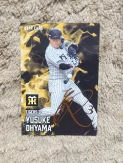プロ野球チップス 大山選手
