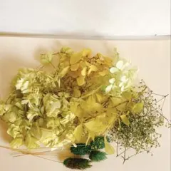 最安値　ハーバリウム、キャンドルなどの花材セット　グリーン　緑