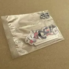 最安値⭐︎ ハズビンホテル 一番くじ H賞 アクリルチャーム ヴァギー