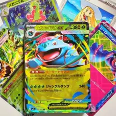 ポケカ】メガフシギバナex メガメガニウムex 構築済みデッキ 60枚