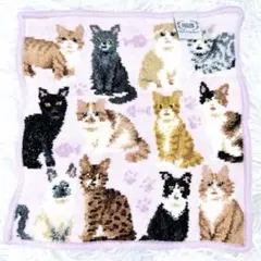 【美品】FEILER フェイラー シュニール織 ハンカチ マイキュートキトゥンのサムネイル