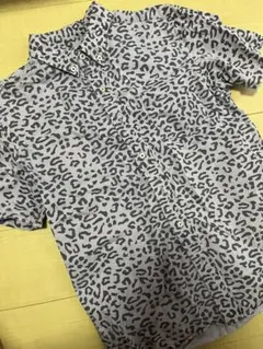 Stussy ヒョウ柄 半袖シャツ