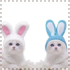 ペアうさ耳 帽子 青 ペット用 被り物 帽子 小型犬 猫 22-1435-436