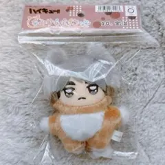 ハイキュー!! ちみけもますこっと 宮治