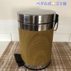ダストボックス　ゴミ箱　ペダル式　木目調のサムネイル