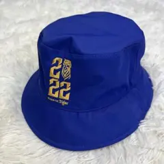 ✅2022 year of the tiger 青　ハット　派手　虎　90s