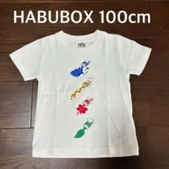 ハブボックス　白T 沖縄