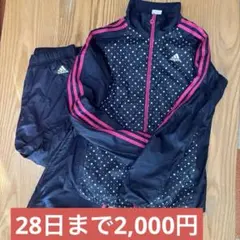 adidas ウィンドブレーカー　上M下S