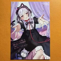最終値】ふしぎな猫のまちメルティア 5巻 佐倉おりこ 直筆イラスト入り