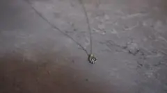 Item thumbnail for item 9d629647-5eed-47e6-b583-e940700f3d69