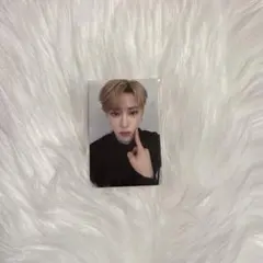 ALD1 mnetplusmerch ほっぺツントレカ アルノ