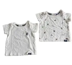 Polo Baby Tシャツ 2枚セット サイズ80