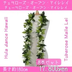 ☆10本セット☆チュベローズ・オープン・マイレイ 約180cm - メルカリ