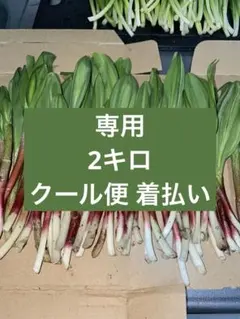 【専用出品】北海道産 天然 行者にんにく（2kg）クール便・着払い対応