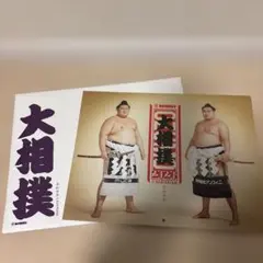 Item thumbnail for item d447d4bf-6fc7-4861-8235-79a2273d3a0b