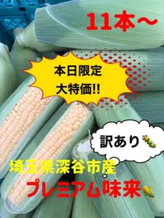 本日限定価格!!プレミアム味来。訳あり!!のサムネイル