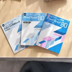 Final Spurt 80 2022年版 参考書セット