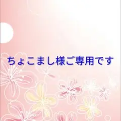 ☆ちょこまし様ご専用です☆