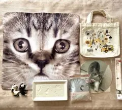 猫モチーフグッズセット売り　カルディ　もちまる日記