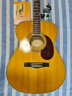 LUMBER アコースティックギター　LF3NA 2026年最新】lumber lf3naの人気アイテム - メルカリ