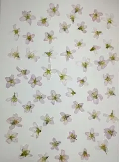 Item thumbnail for item dc3fa9b1-58e9-45d6-a217-61bd8a3322bb