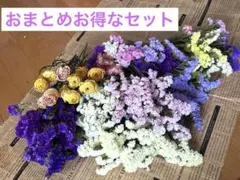 週末特価❗️大量★スターチス　ミニバラ　ドライフラワー　ハンドメイド花材