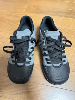 Item thumbnail for item 7017aa01-fa31-402a-94a7-de8d09486a76