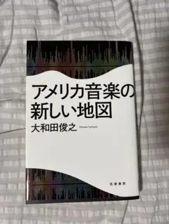 アメリカ音楽の新しい地図 大和田俊之