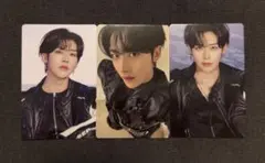 zb1 リッキー ワルツ トレカ ラントレ