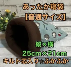 Item thumbnail for item 7177c2a7-3ce6-42ee-896f-14f1f1695560