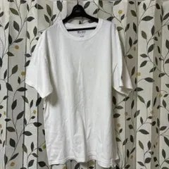 チャンピオンのTシャツ Lサイズ