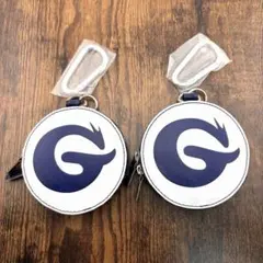 Item thumbnail for item 2530b564-1939-41bd-8a3c-ba201f9ac5d8