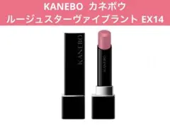 KANEBO カネボウ ルージュスターヴァイブラント