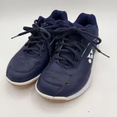 Item thumbnail for item 5c87d067-534f-4b31-bc62-5a0763dff19e