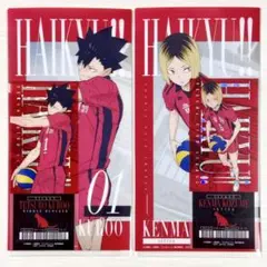 一番くじ ハイキュー‼︎ -最強の挑戦者- I賞 黒尾鉄朗 孤爪研磨