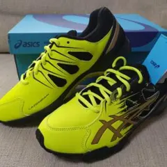 Item thumbnail for item 0e2a1106-ecea-4760-a8ad-5b5f68a309ae