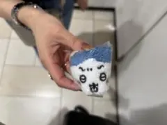 ちいかわ　もこもこポーチ　ハチワレ　未開封