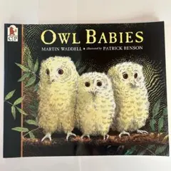 Owl Babies 英語　絵本