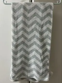 Item thumbnail for item 296295bd-6a4a-40ac-8db5-0018101be101