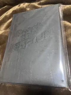 Item thumbnail for item 52d3e86e-bacd-492a-a655-2822dd660316