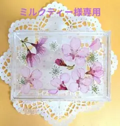 専用 固まるハーバリウム❁お花のクリアケース❁⑤＆歯ブラシスタンド➈マトリカリア