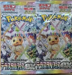 テラスタルフェスex 2パック まとめ売り